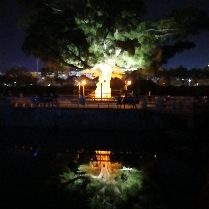 夜绘影