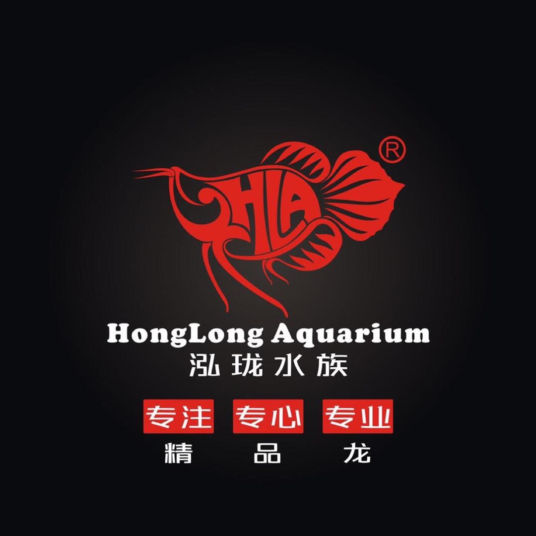 三木谈龙-广州龙威
