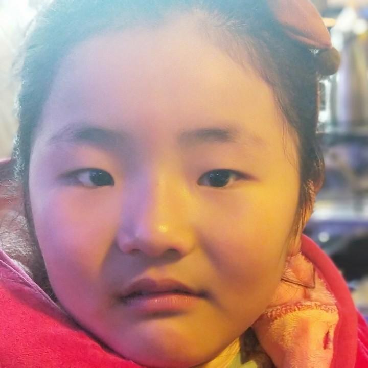 木木白水