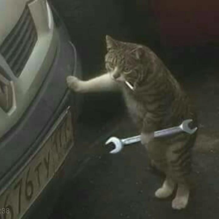 49