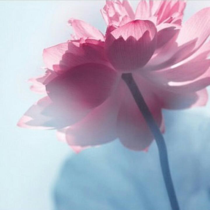 茄子煲咸鱼