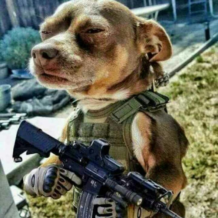 龍神