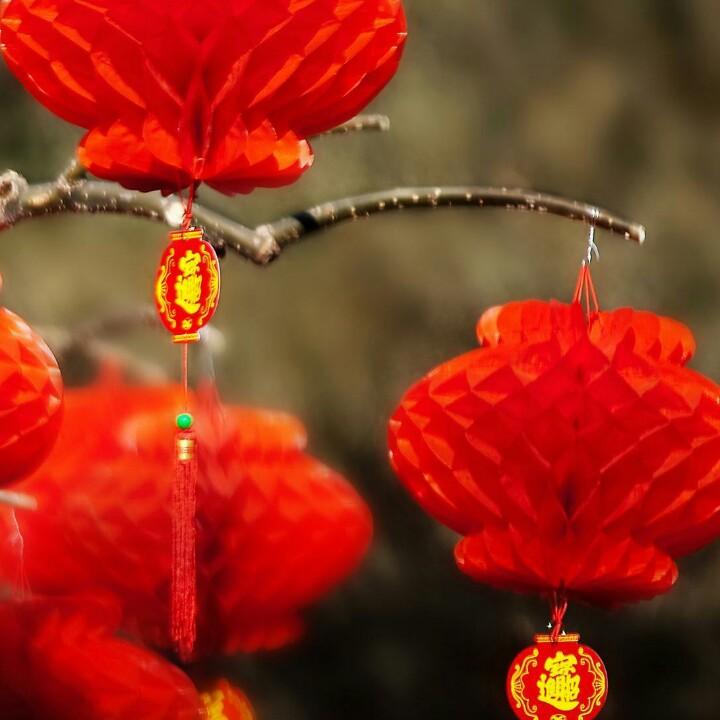 幸福51284395