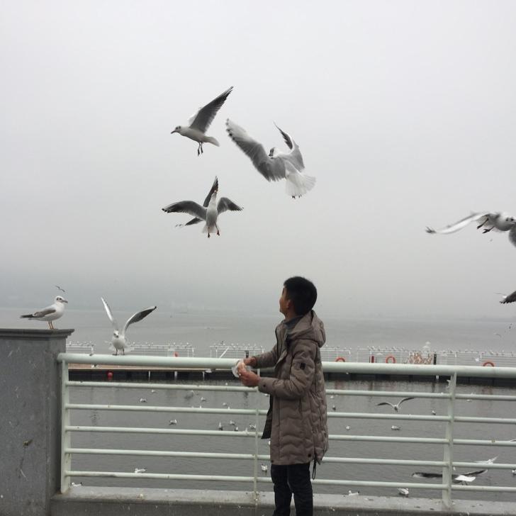 @涛哥