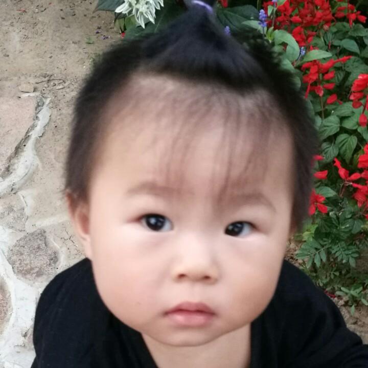 蓝胖子