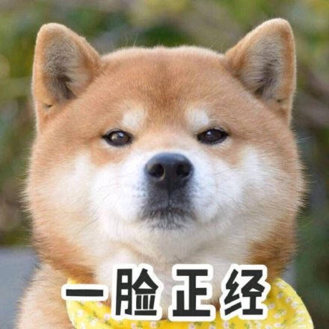 王大爷💃（手机摄影）