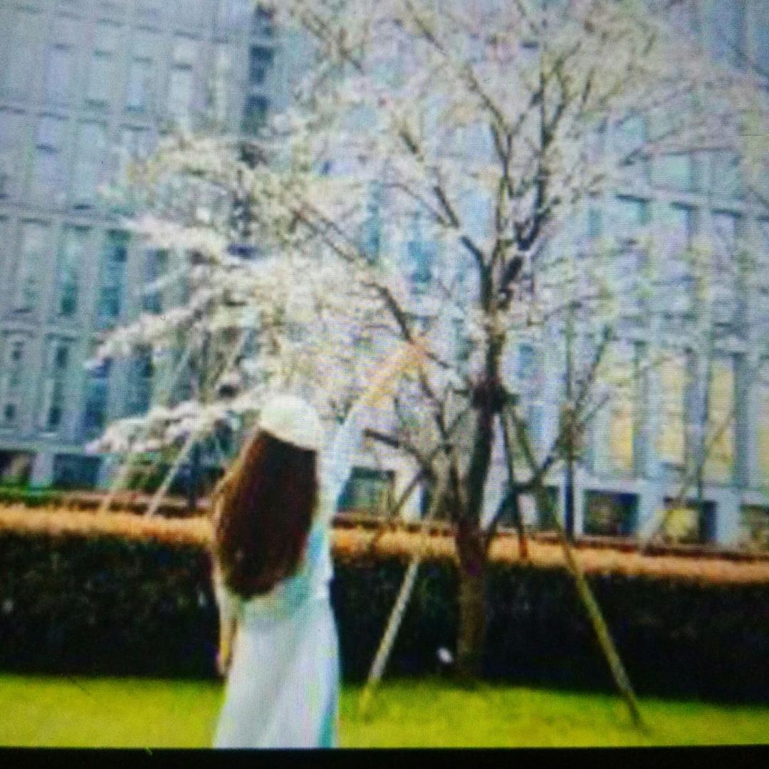 琉璃年华..
