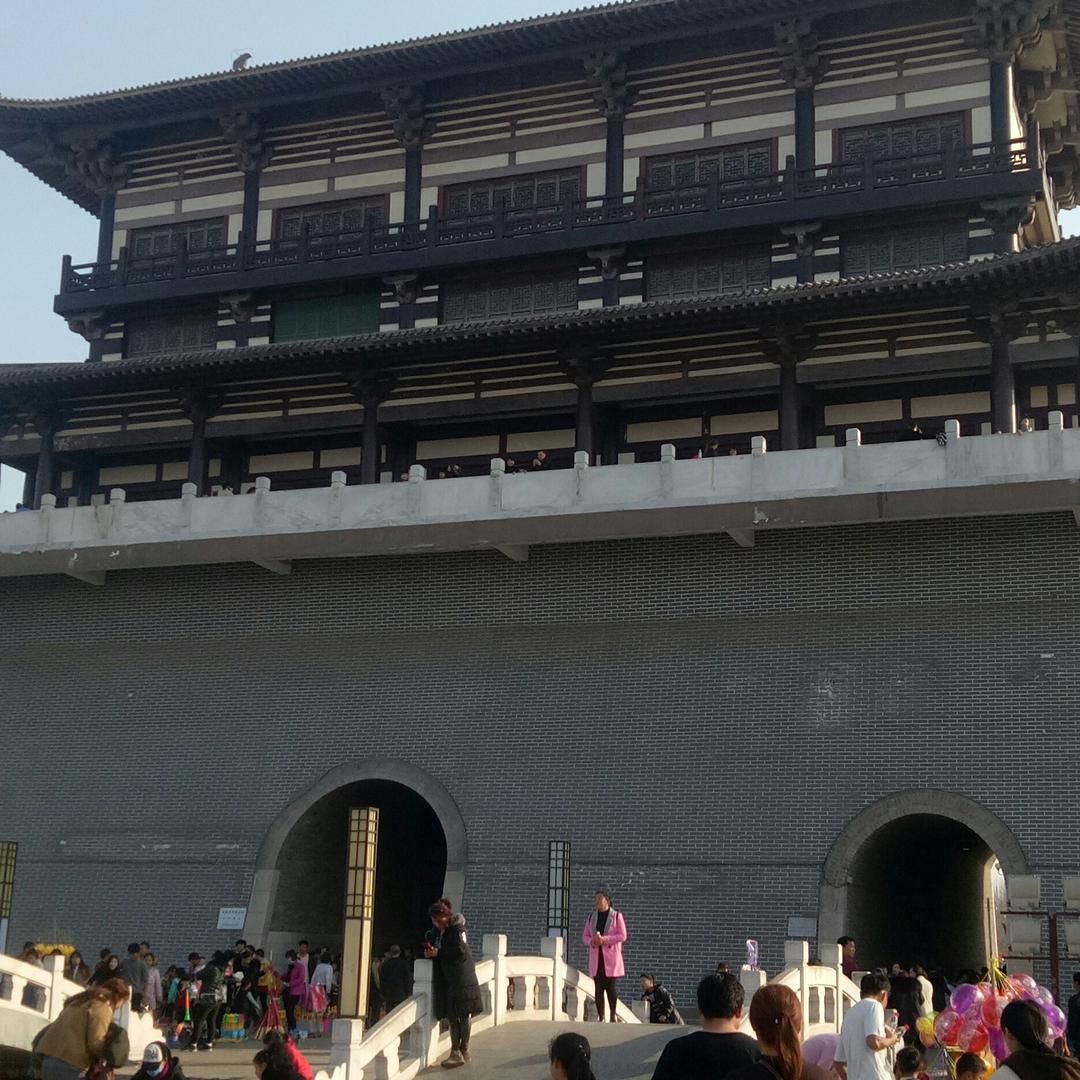 将来702