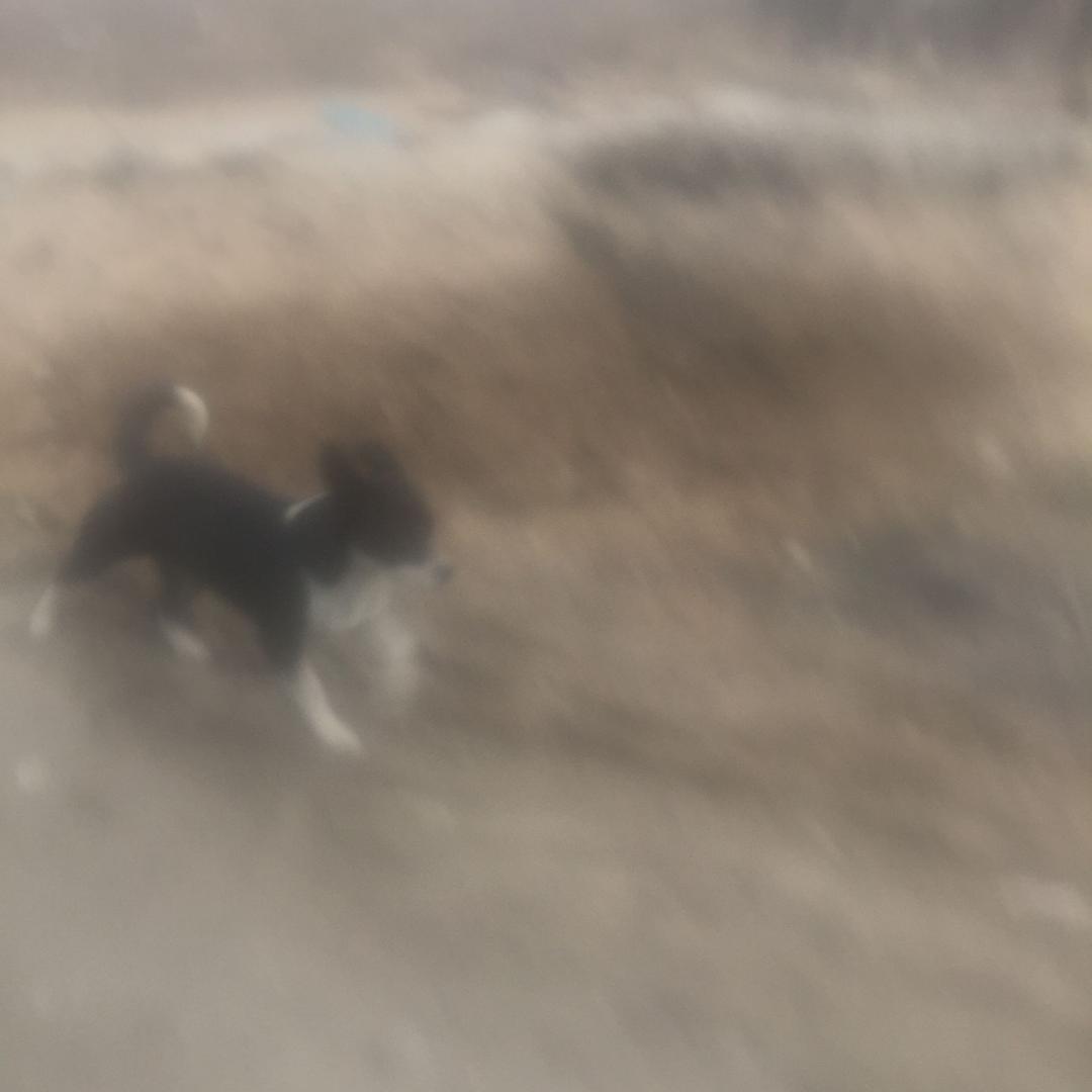 抖音练习生