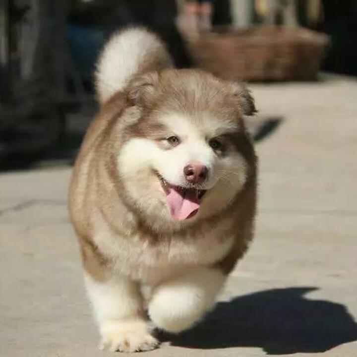 邳州市心诚熟食店