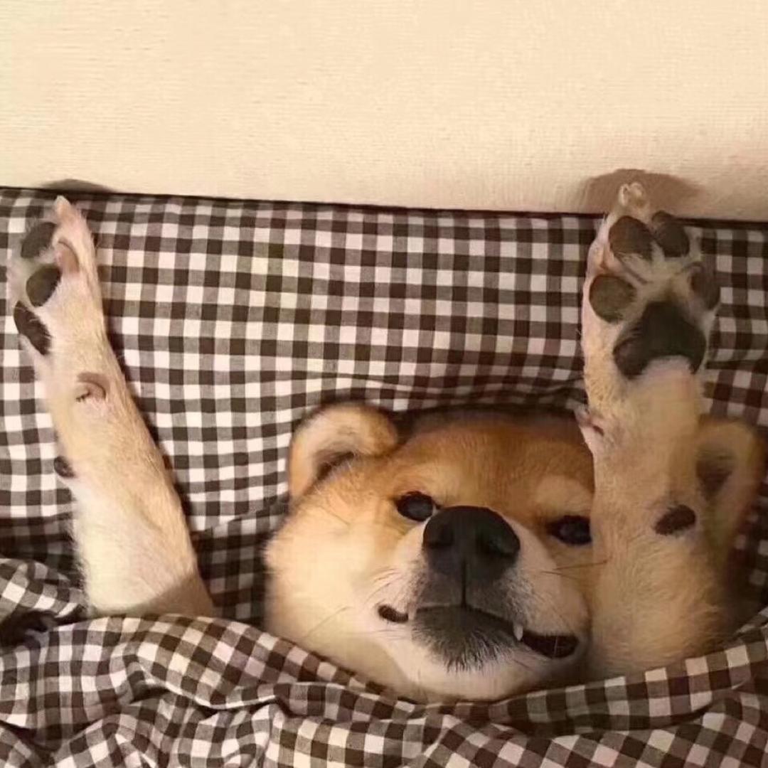 这样就不重复了吧