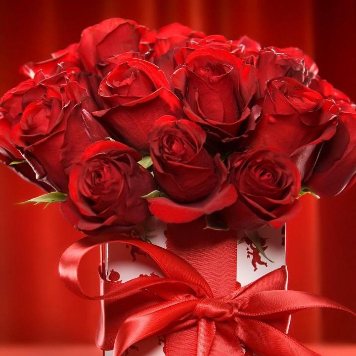 王金子🎤（正心  正见 ）