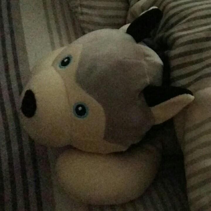 闹闹黄