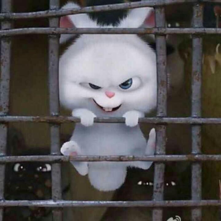 冬末流连