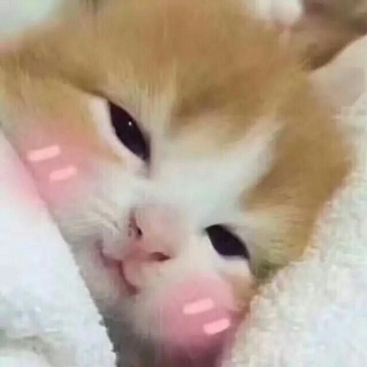 莎酱