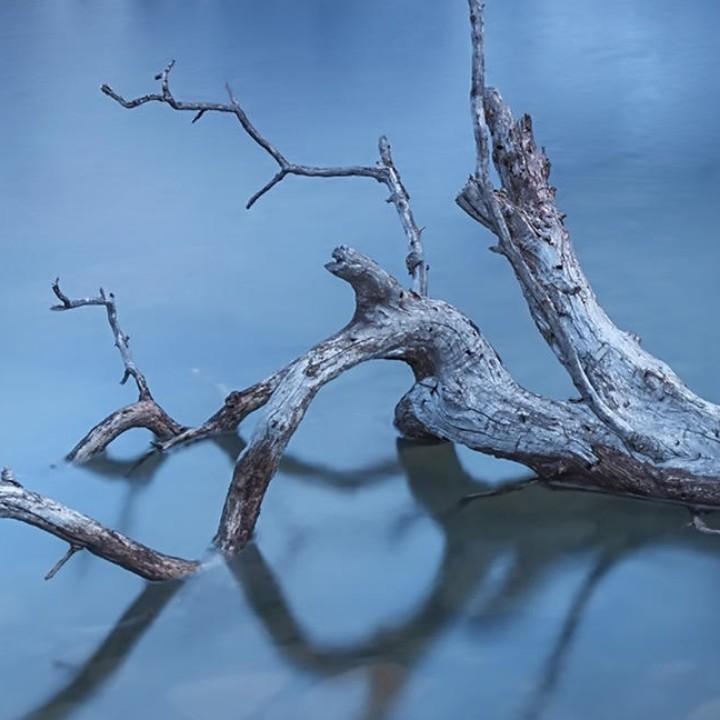 思念话语1丝1缕浸透心