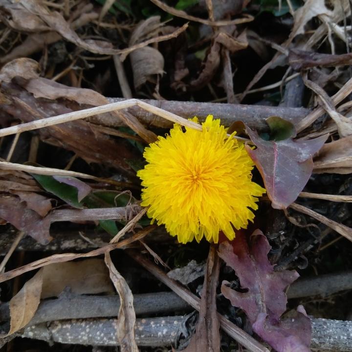 匆匆85后◑▂◐