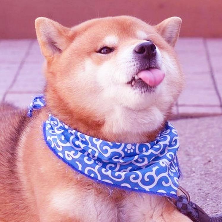 狂风