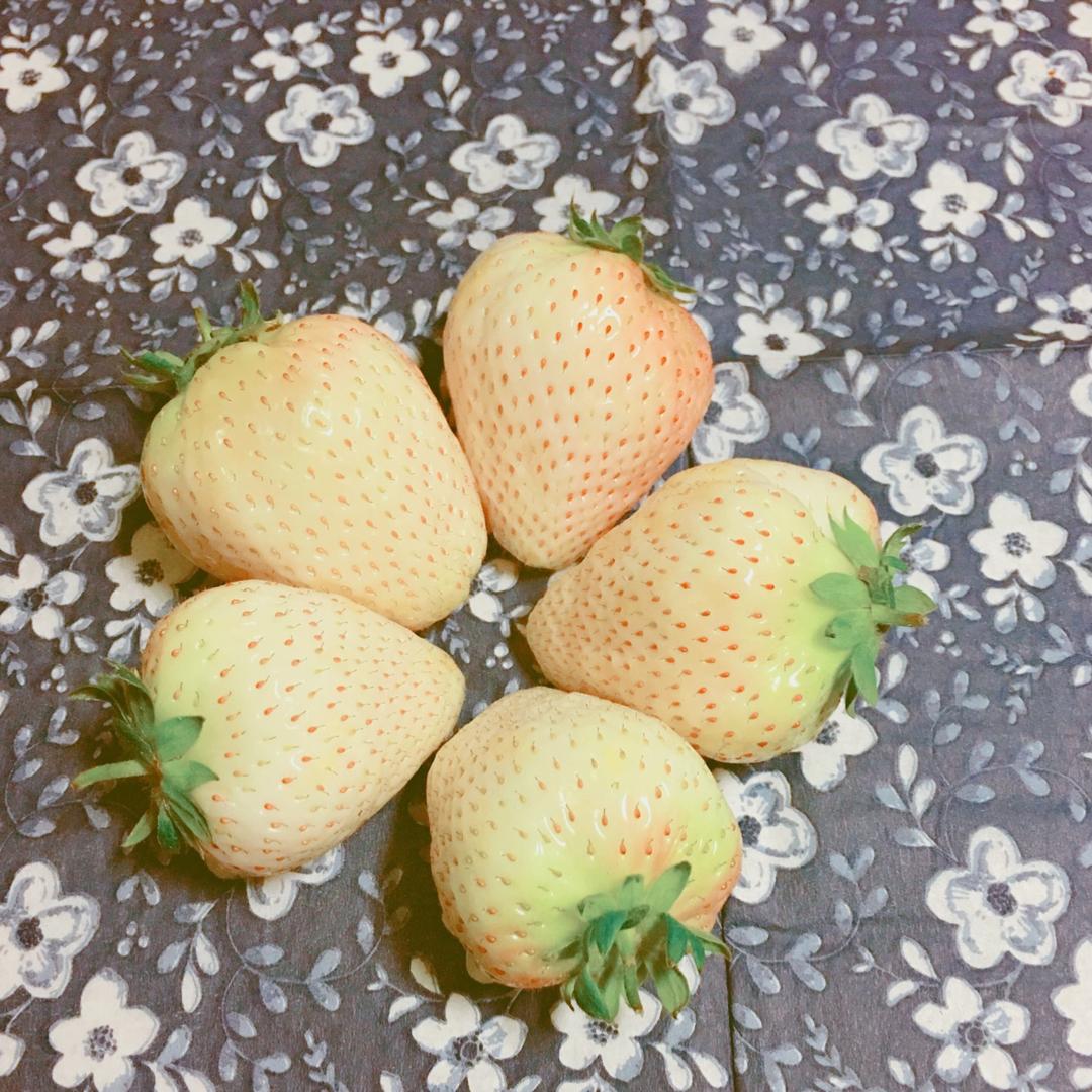 囍庆酱酱