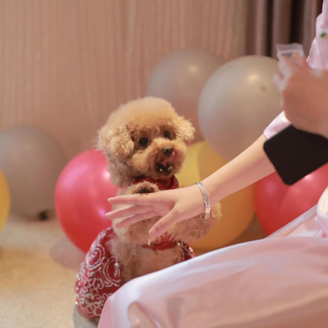 💗李小贝@抖音