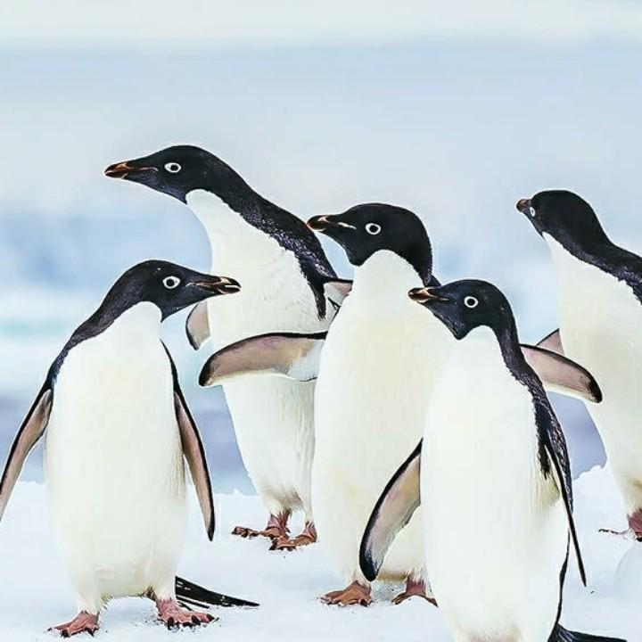 门三