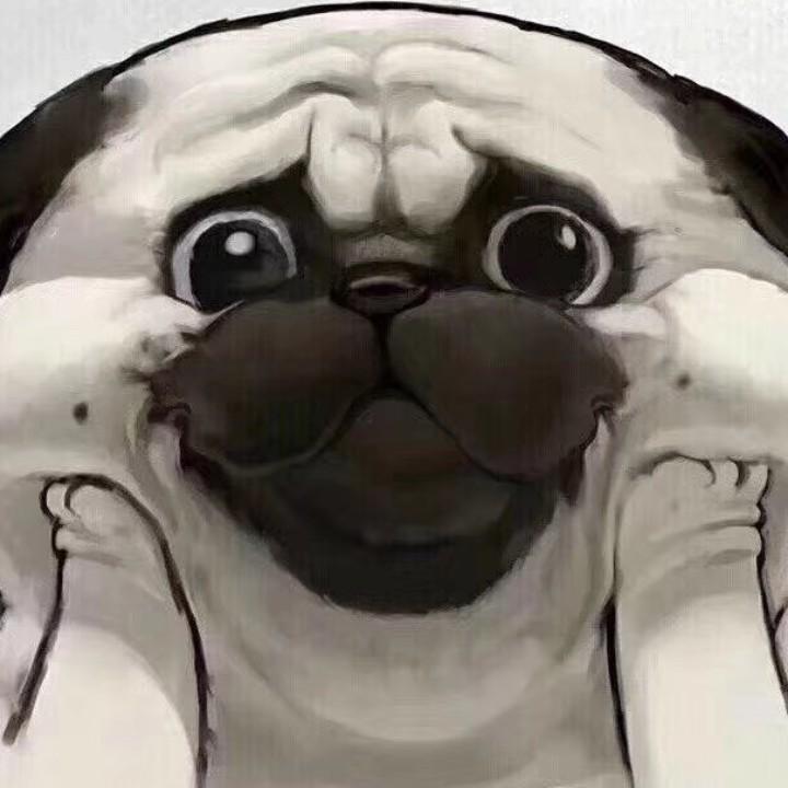 失败的作品