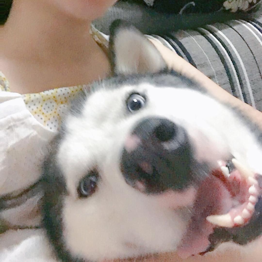 月球上的人🌖🥕