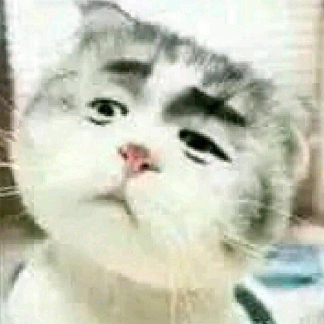 大宝剑🗡