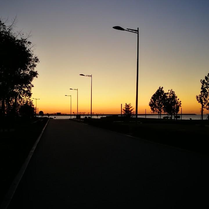 好吃的话就多吃点