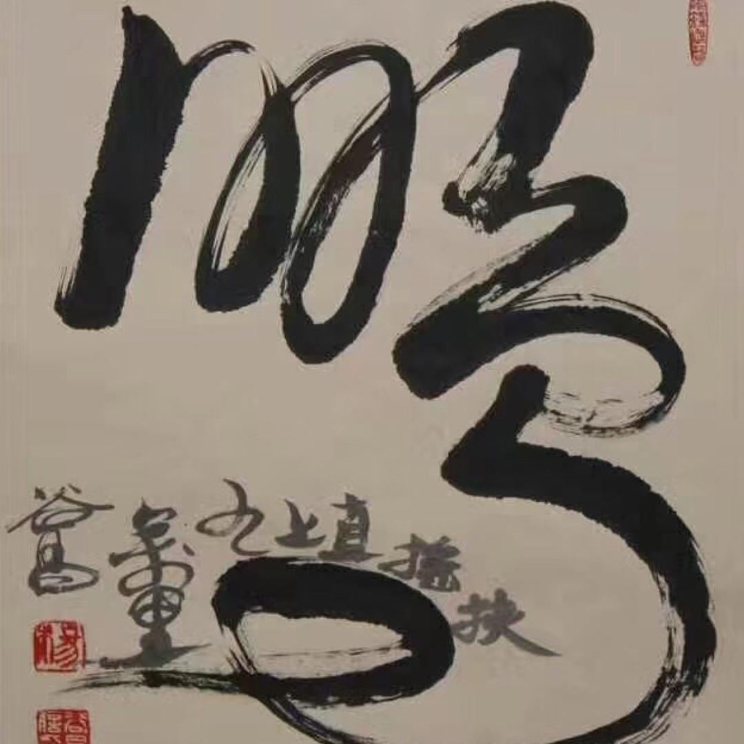 鹏哥哥🤣