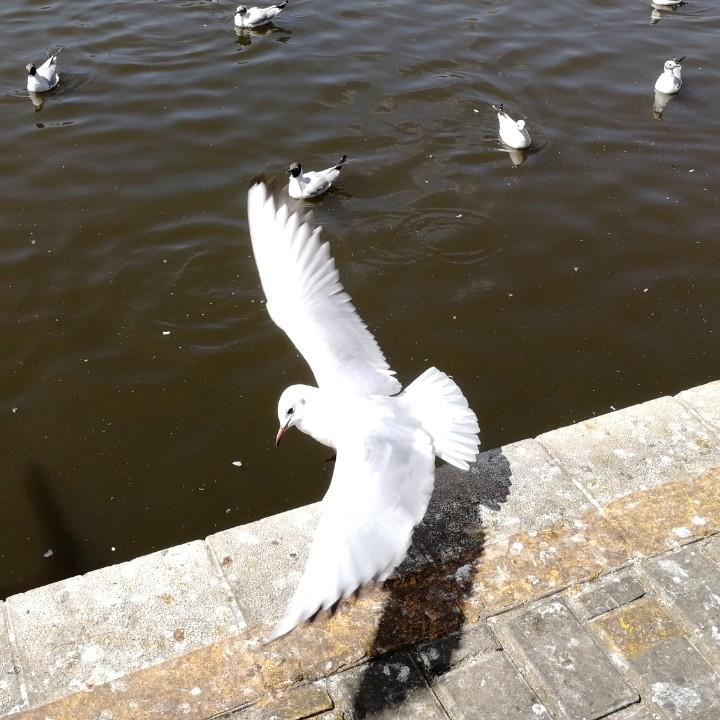 悠然