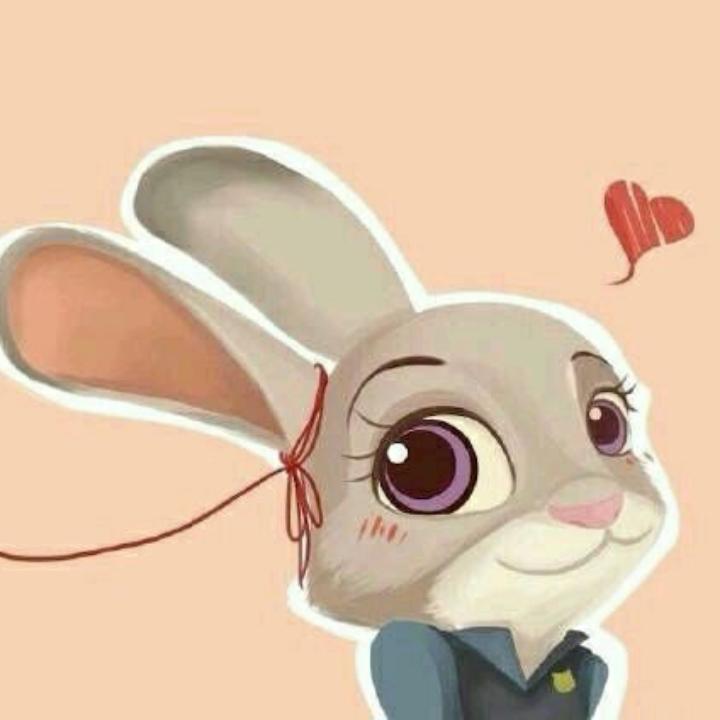 🌈小兔叽🐰