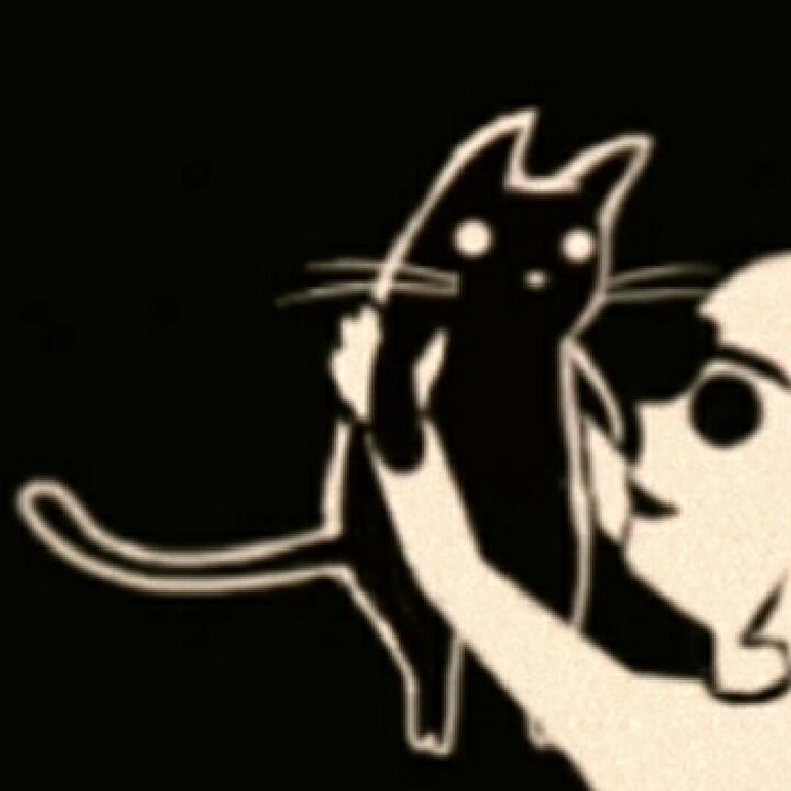 harvey_（哈维）