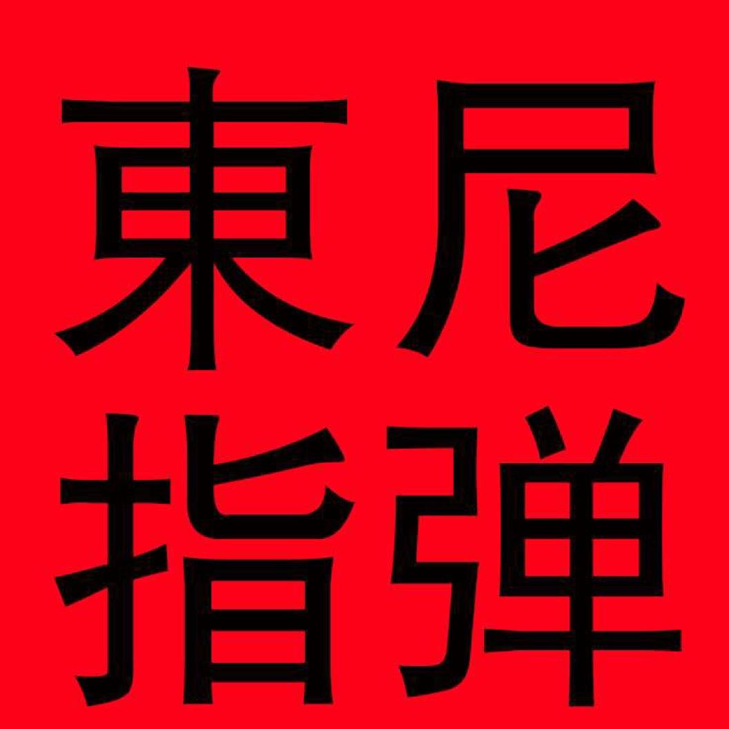 东尼指弹