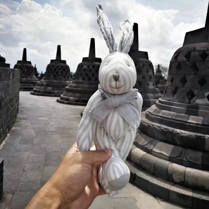 兔先生