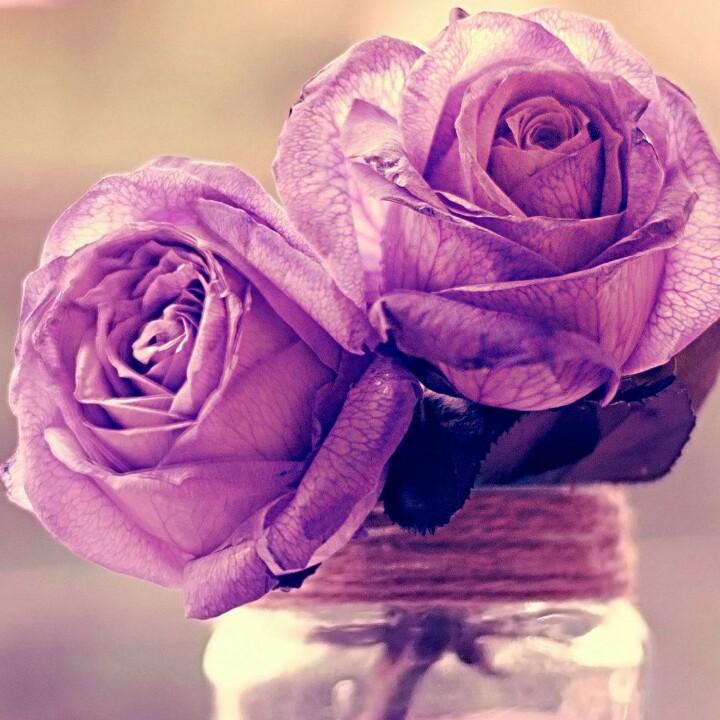 你在他乡还好吗