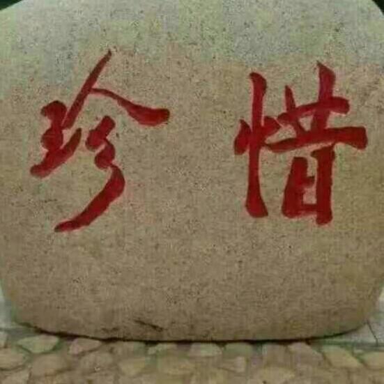 翱^V^~^V^翔