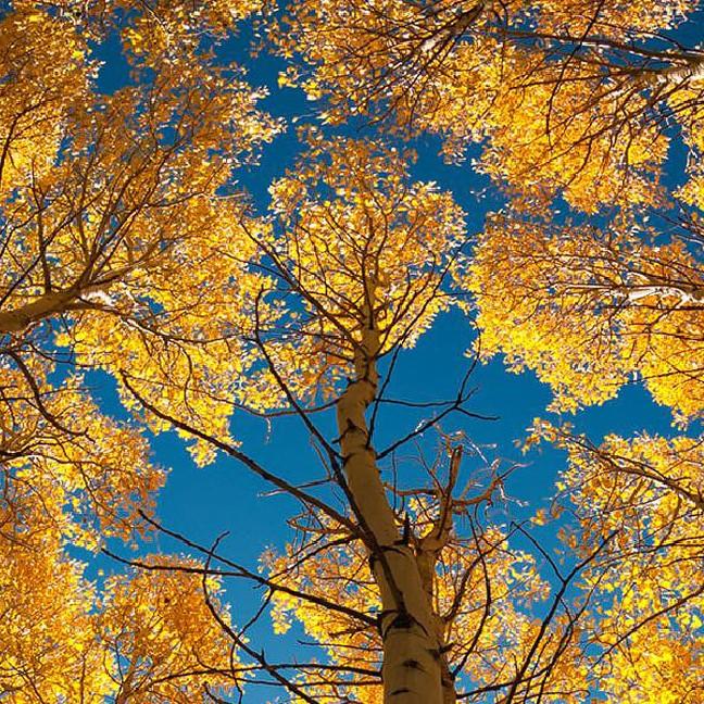 以后的以后以后