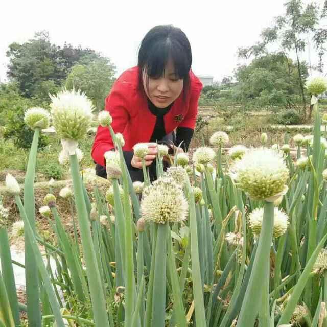 梦玲@（橱窗好物分享）