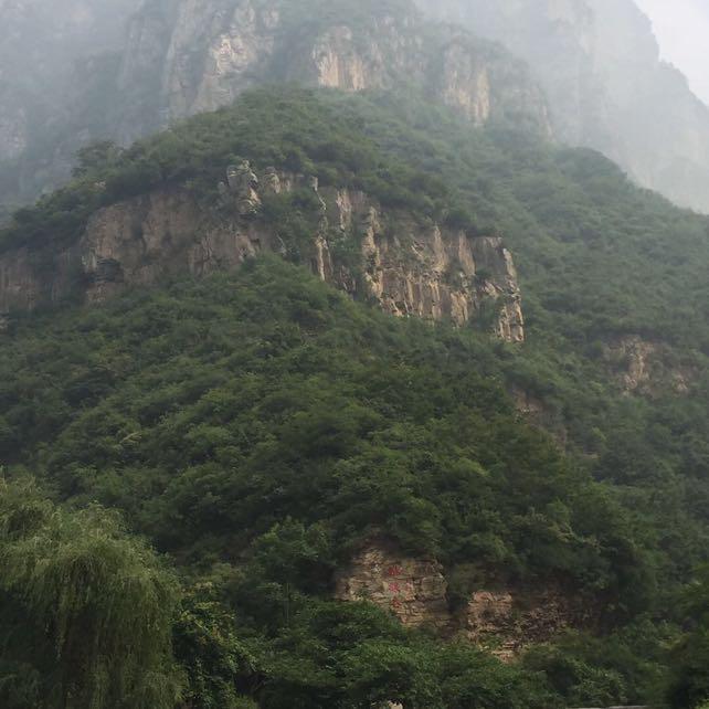 刘亚东