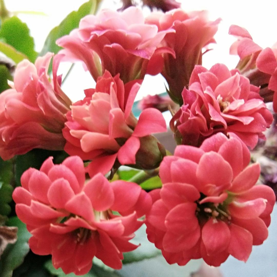 🌺幸福💍美🌺
