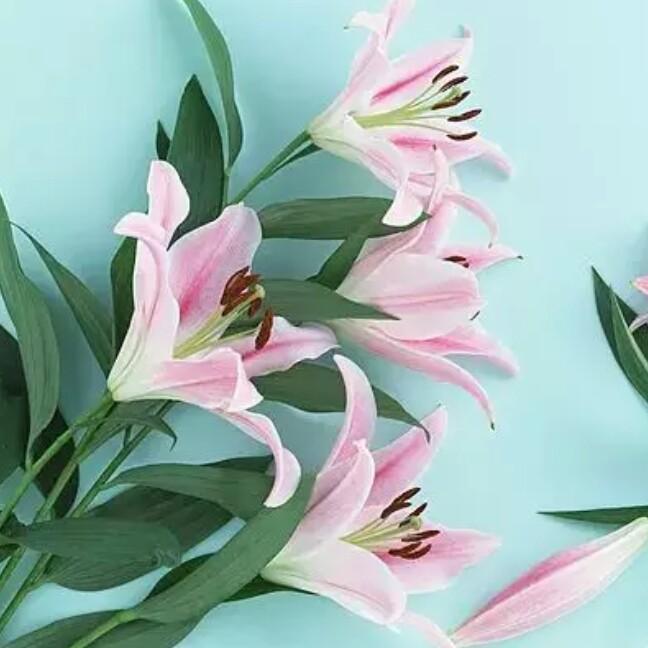 霸气不是姐的dfte