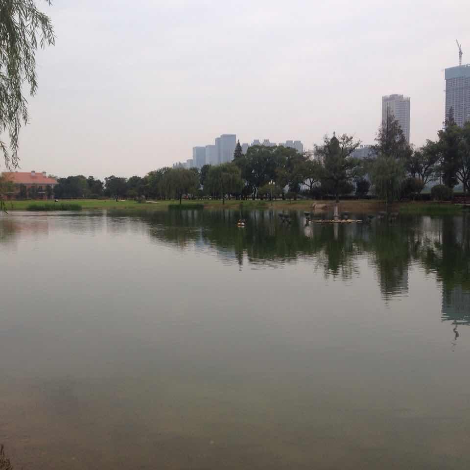 郑   郑    郑先生