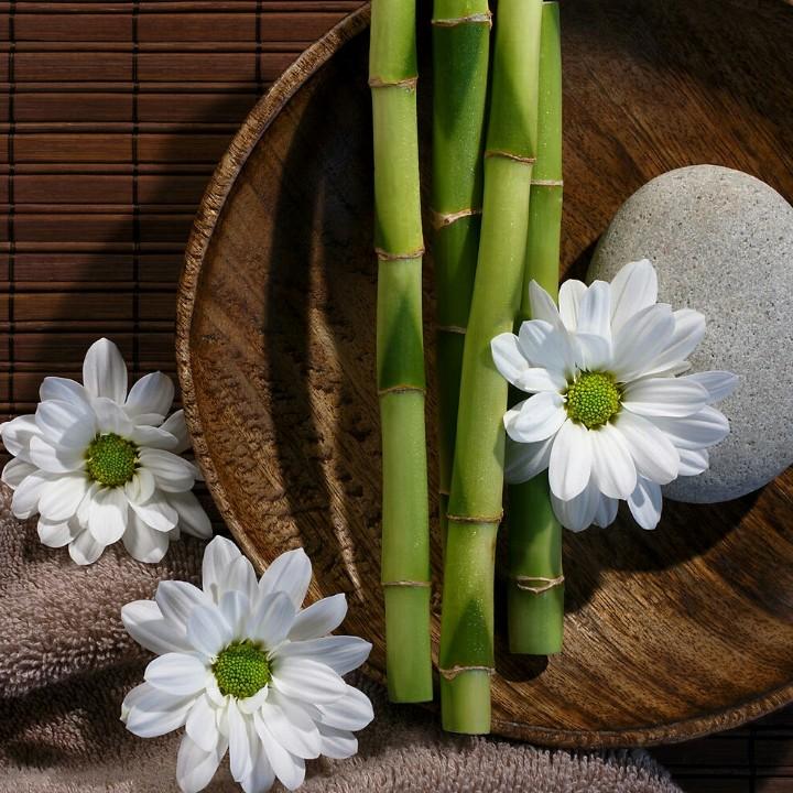 豆子