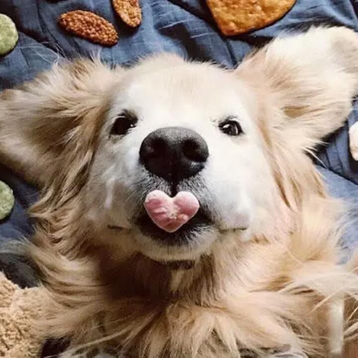 永远到底有多远