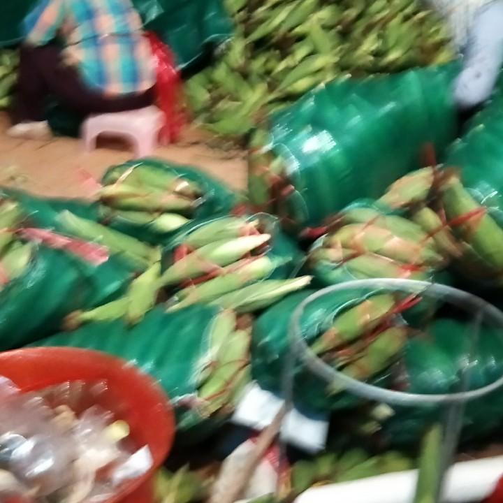 六哥