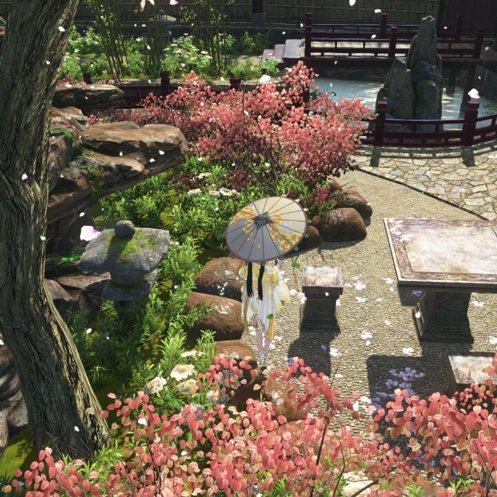 小棹归时