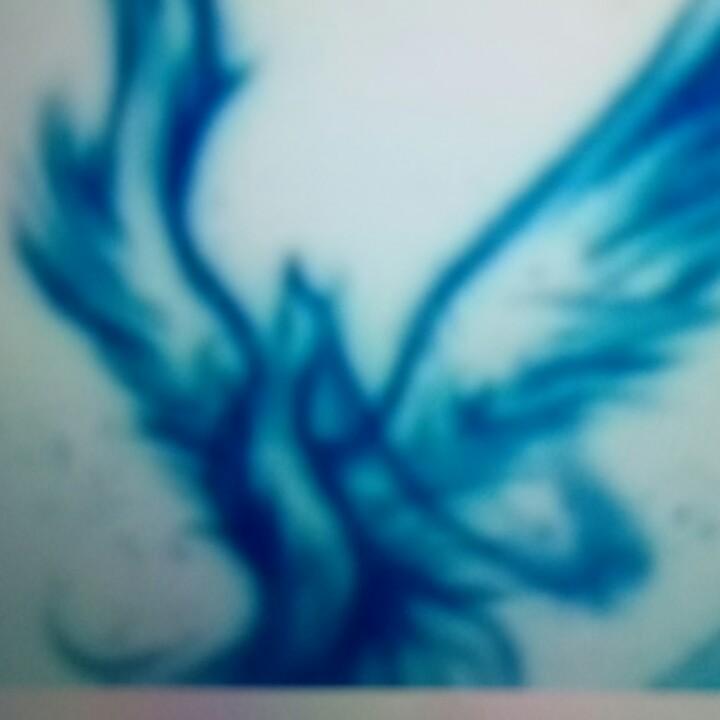 虫虫在睡觉