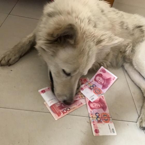 秦祥林