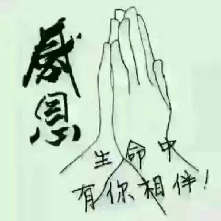 𓆸⋆*终是梦𓆡˂ᵒ͜͡